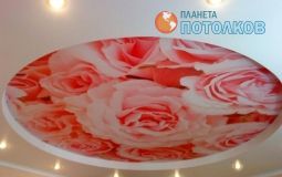 Бело-розовый двухуровневый потолок с фотопечатью 